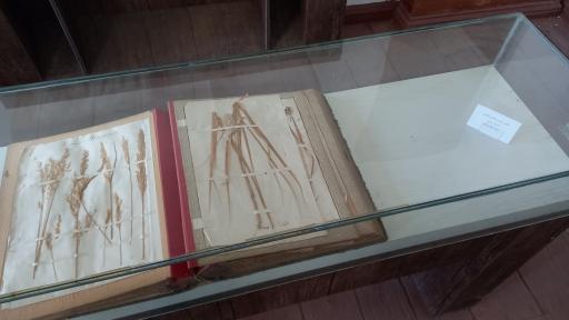 عکس دبیرستان موزه حکیم نظامی آستارا