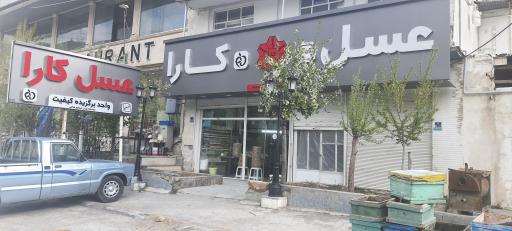 عکس عسل کارا