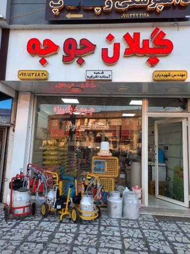 خوراک دام و طیور گیلان جوجه