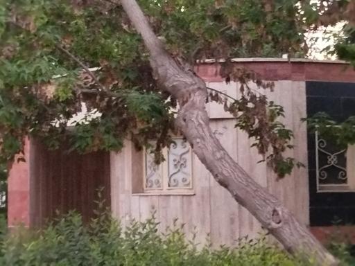 سرویس بهداشتی 