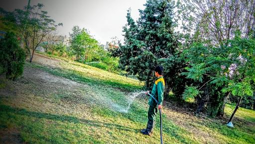 عکس بوستان آسمان