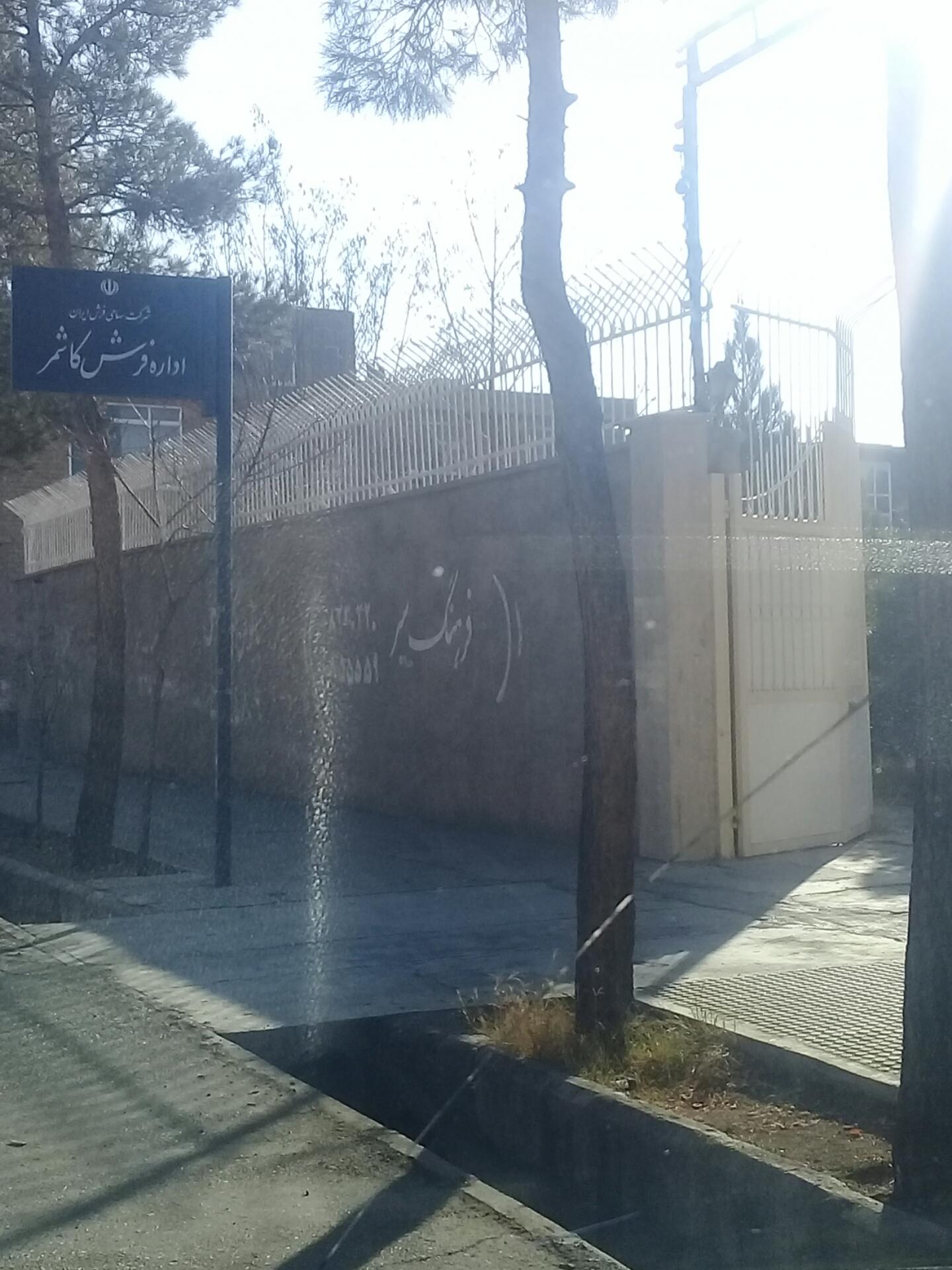 عکس اداره فرش کاشمر