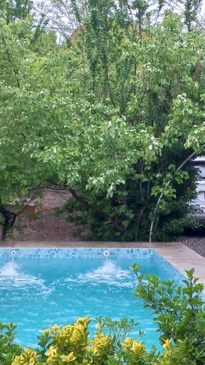 عکس باغچه حمید