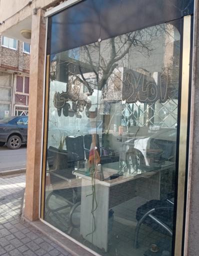 عکس املاک چمنی