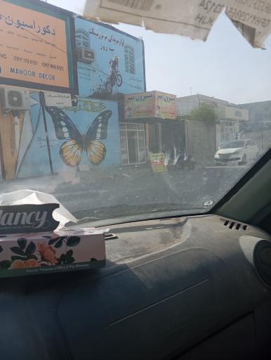 عکس بیرون بر بانوی جنوب