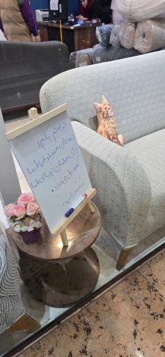 عکس کاور مبل بابک