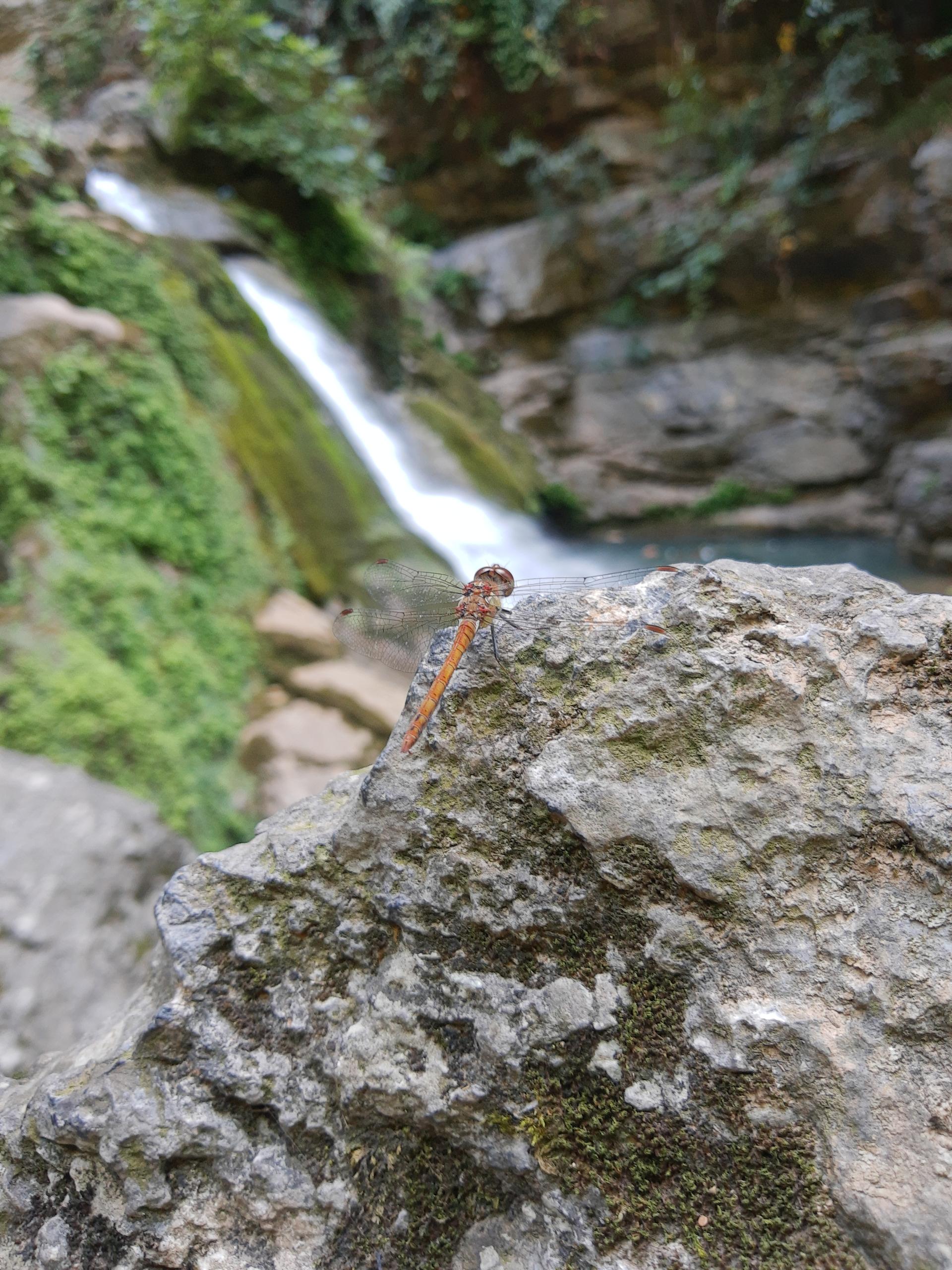 عکس آبشار دوم شیر آباد