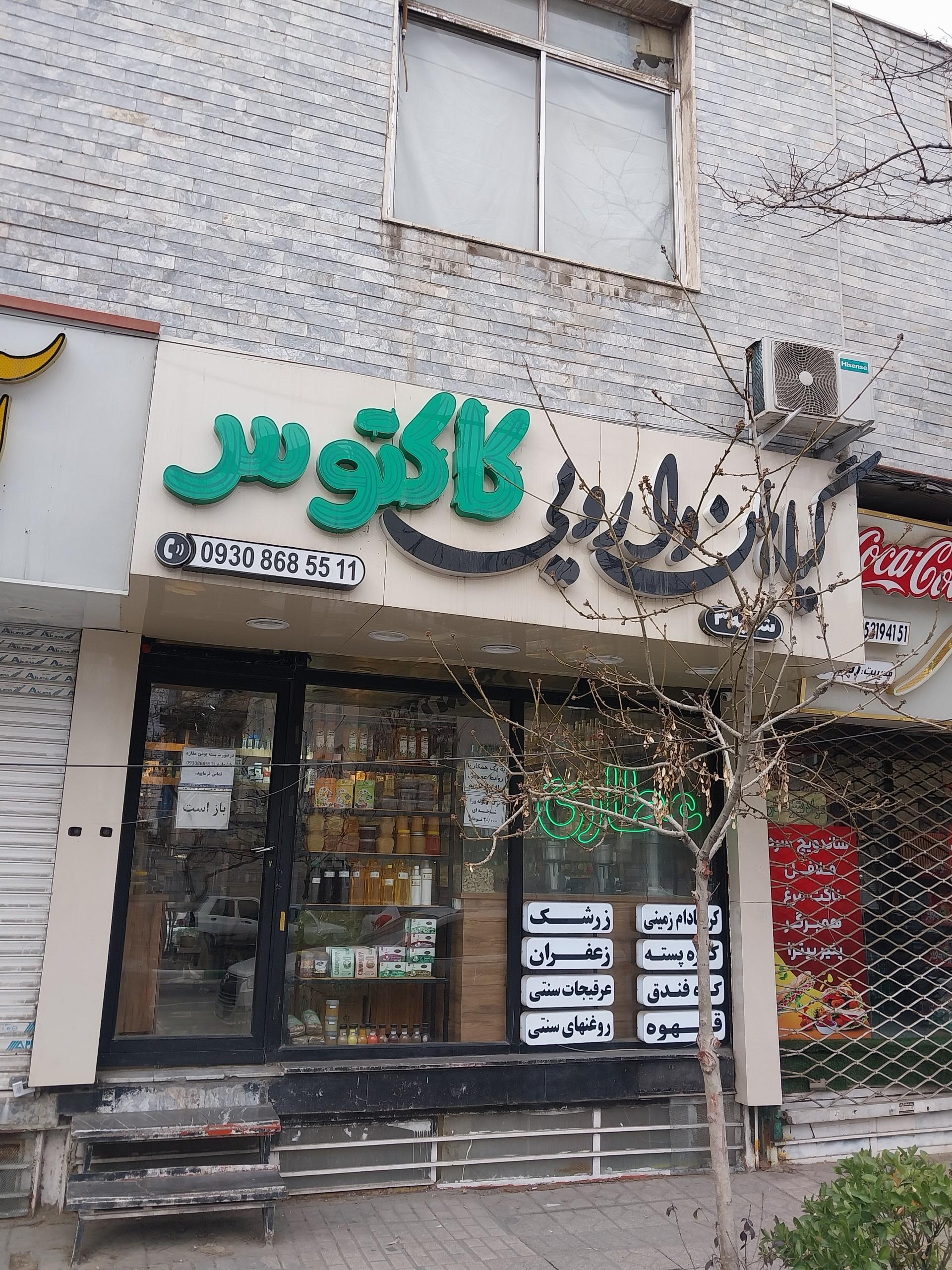 عکس گیاهان دارویی کاکتوس 