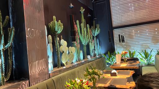 عکس رستوران ايتاليايي د ل پ (شعبه پاسداران)