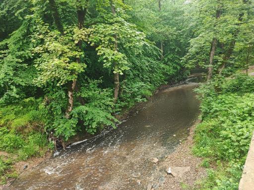 عکس رودخانه سراوان