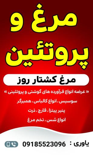 عکس مرغ و پروتئین یاوری