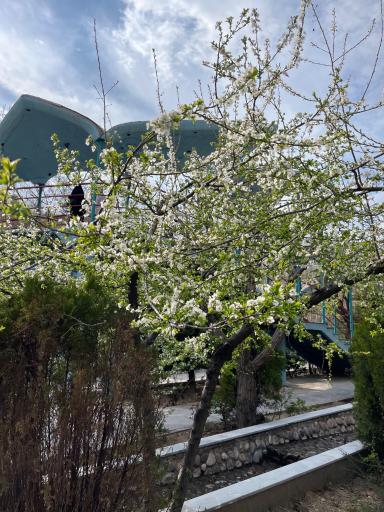 عکس بوستان ساحلی دارآباد