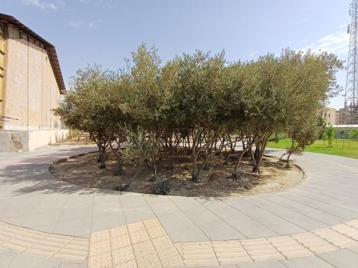 مرکز رشد خلاقیت و نوآوری شهدای خلیج فارس 