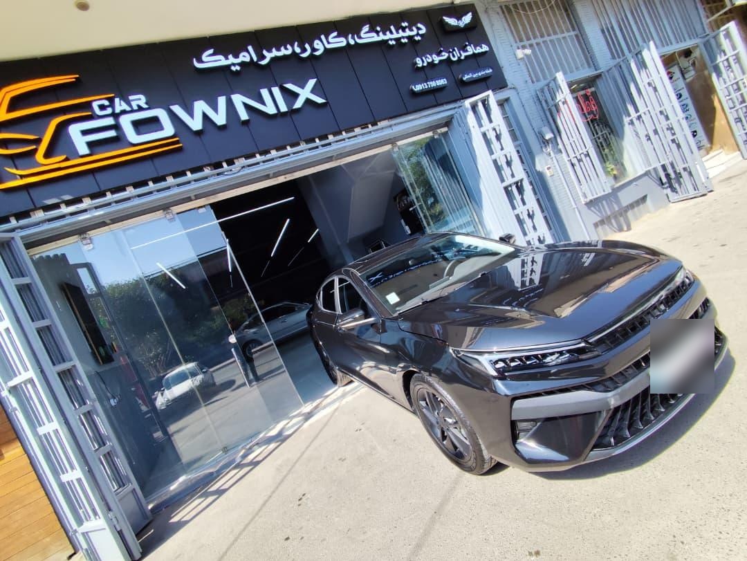 عکس کار فونیکس