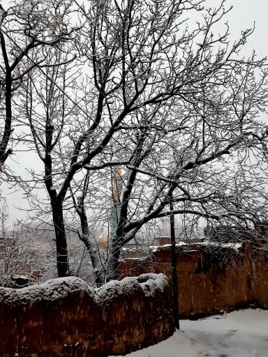 عکس امامزاده احمد