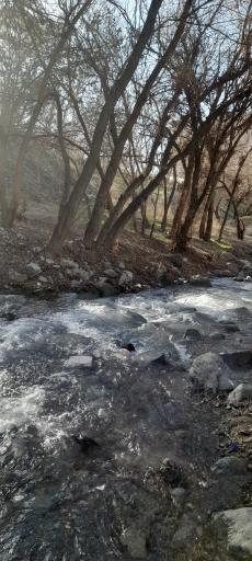 عکس بوستان ساحلی دارآباد