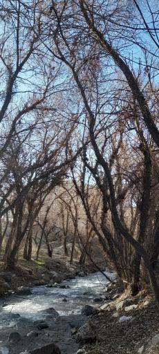عکس بوستان ساحلی دارآباد