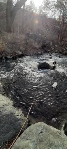 عکس بوستان ساحلی دارآباد