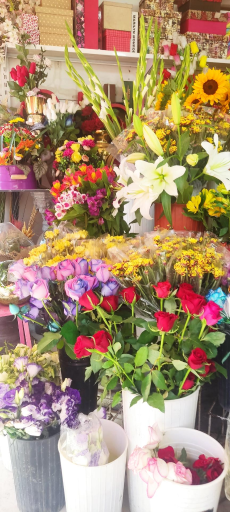 پدیده گل ثروتی