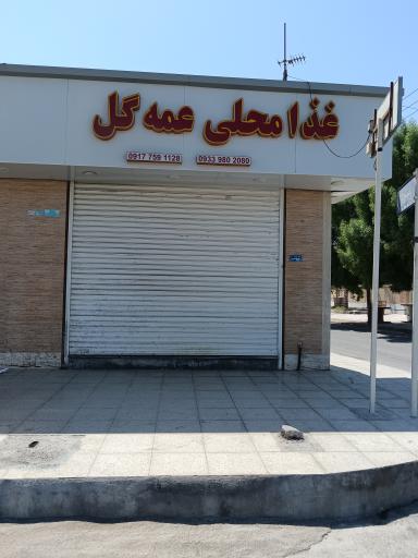 عکس غذا محلی عمه گل