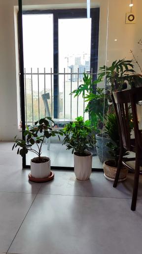 عکس کافه کتاب بی خوابی