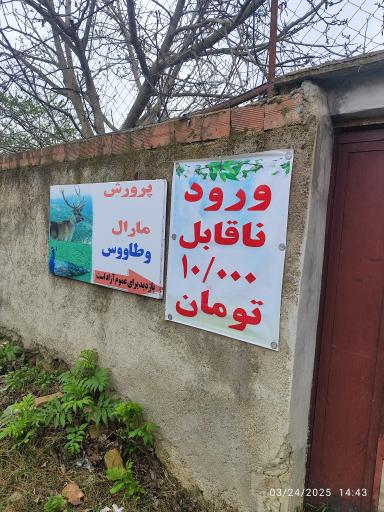 عکس پرورشگاه اهو و گوزن مرال
