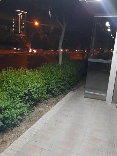 عکس  میدان کوثر