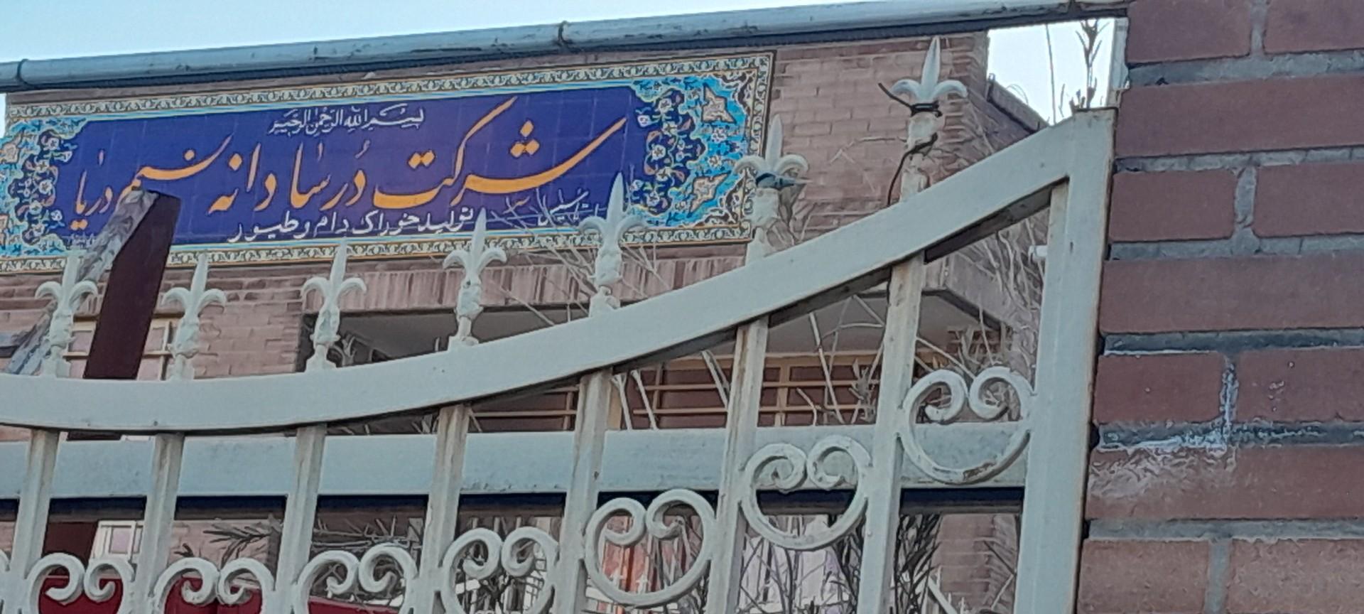 عکس درسا دانه نسیم دریا