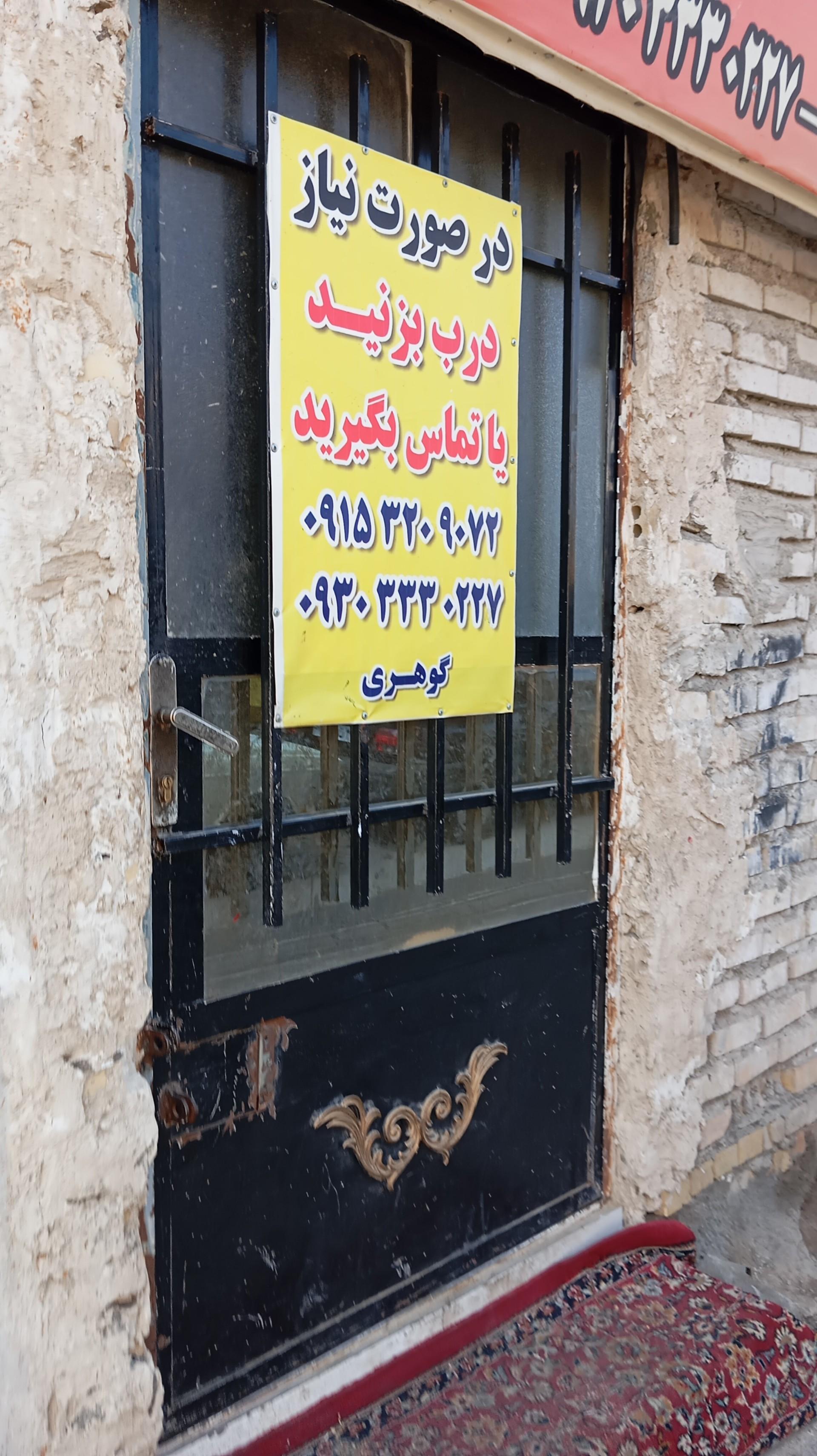 عکس مرغ زنده و خونی