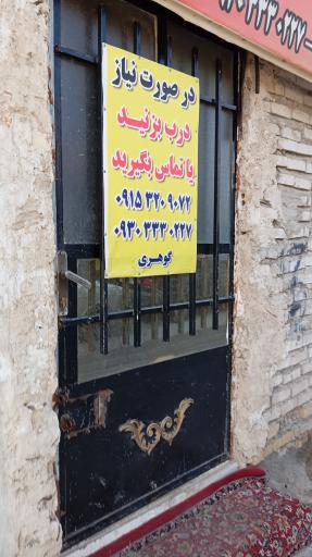 عکس مرغ زنده و خونی