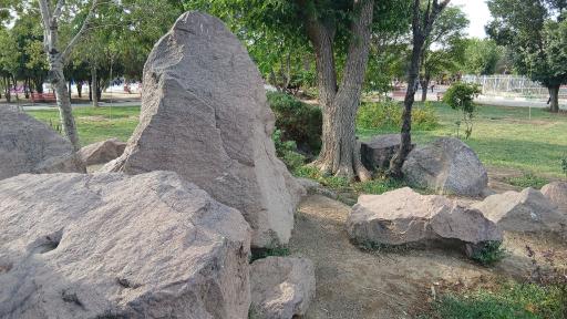 عکس فضای سبز