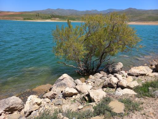 عکس سد گونلو