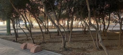 عکس فضای سبز فرهنگیان