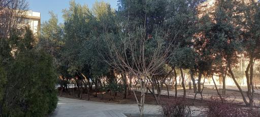 عکس فضای سبز فرهنگیان