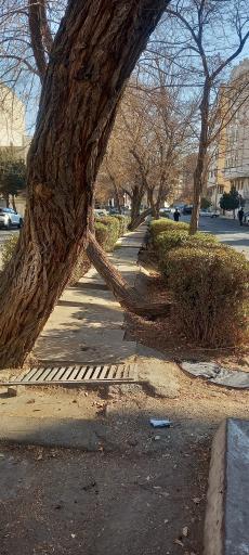 عکس فضای سبز فرهنگیان