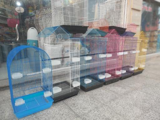 عکس پرنده مرکزی