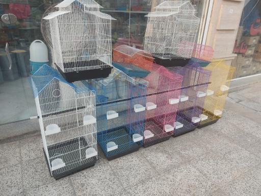 عکس پرنده مرکزی