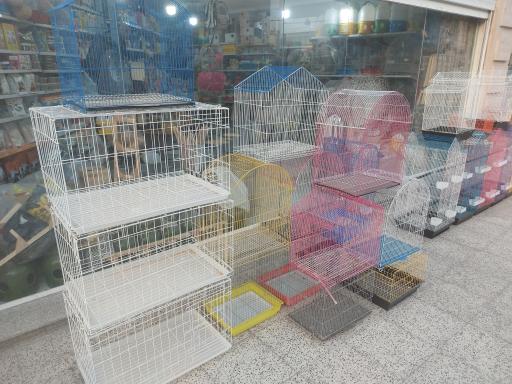 عکس پرنده مرکزی