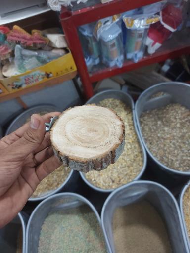 عکس پرنده مرکزی