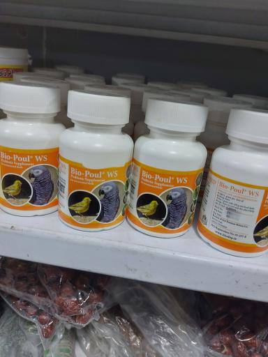 عکس پرنده مرکزی