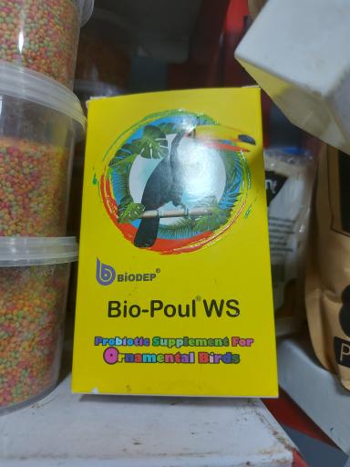 عکس پرنده مرکزی