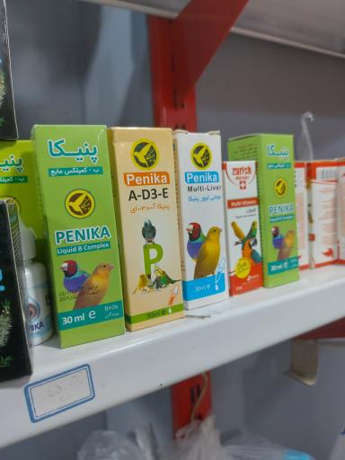 عکس پرنده مرکزی