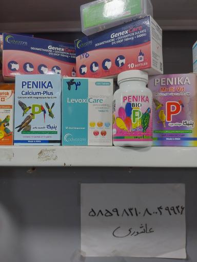 عکس پرنده مرکزی