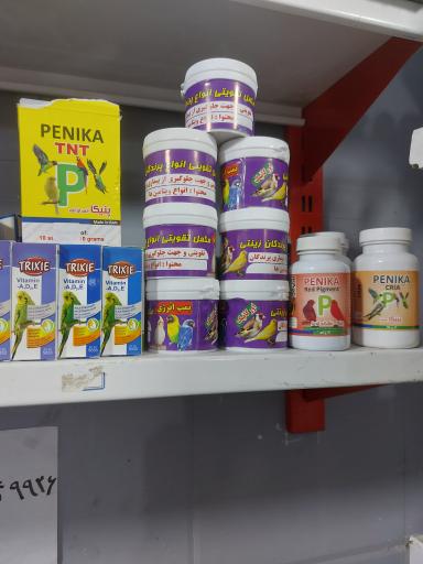 عکس پرنده مرکزی