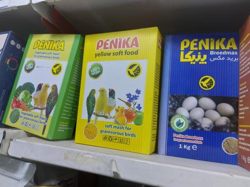 عکس پرنده مرکزی