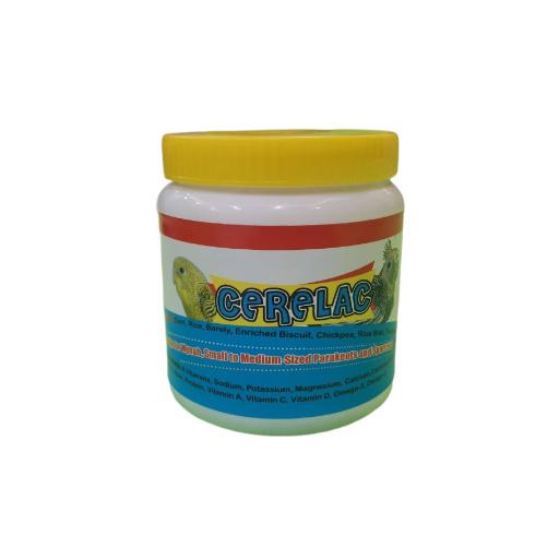 عکس پرنده مرکزی