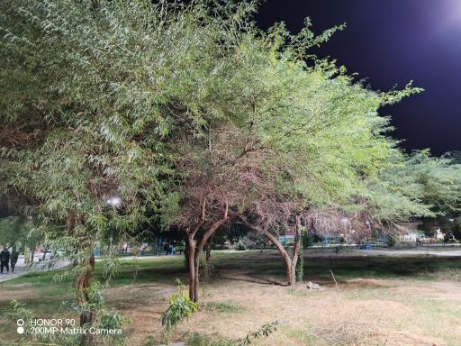 عکس بوستان طالقانی