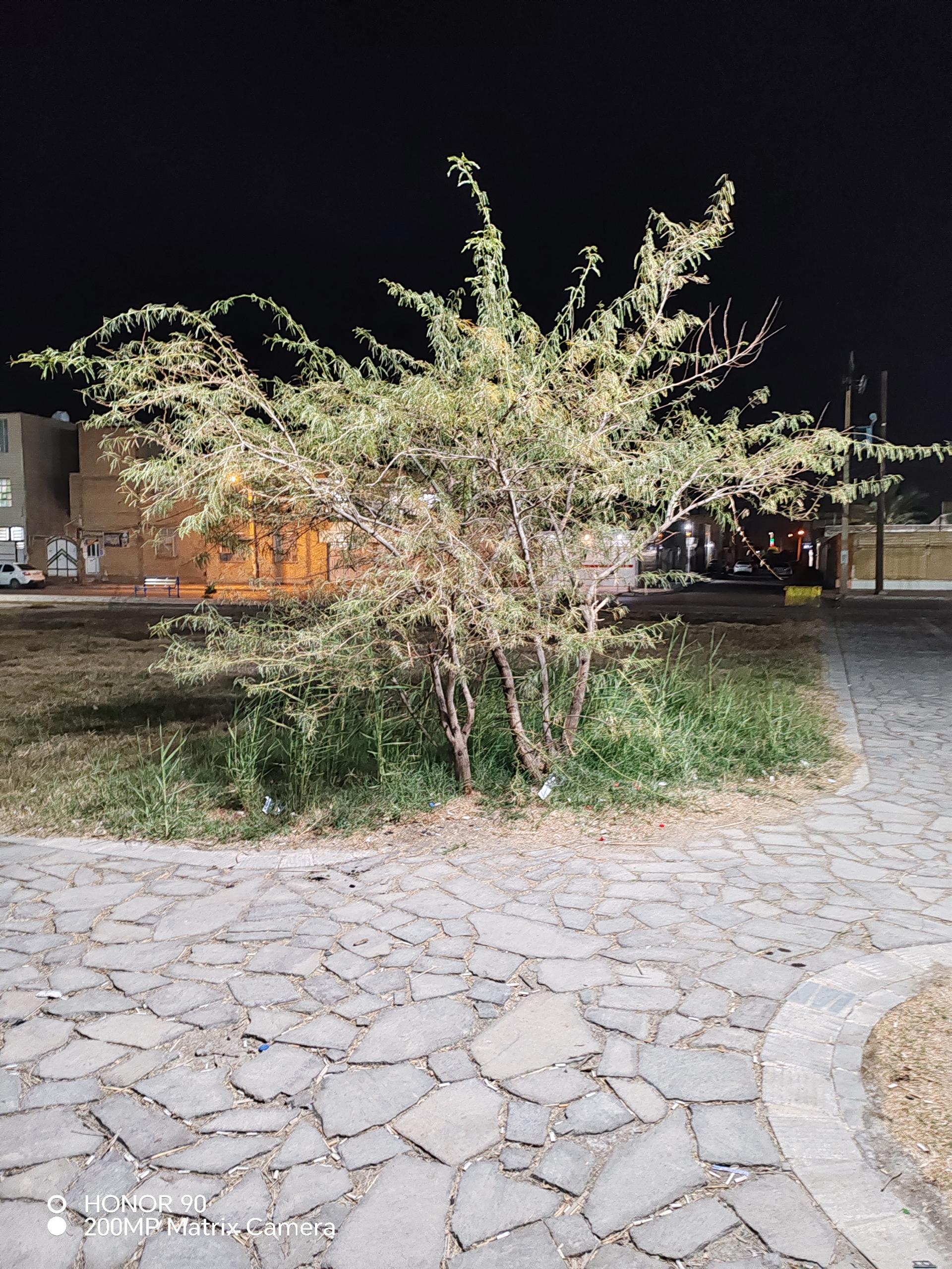 عکس بوستان طالقانی