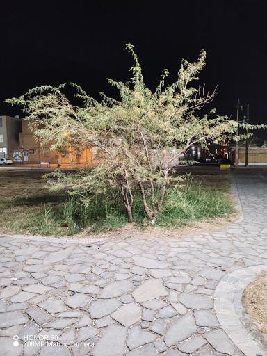 عکس بوستان طالقانی