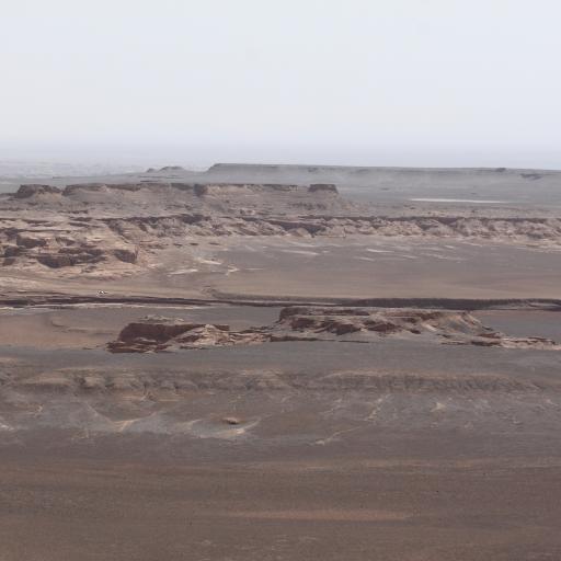 عکس گندم بریان